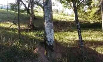 Imagem 4: Sitio em Itaboraí