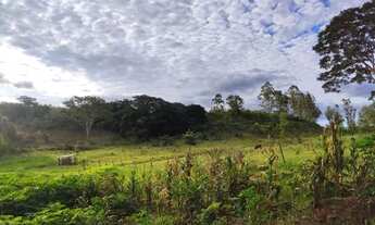 Imagem 2: Vendo Chácara Chácara com venda por R$680.000