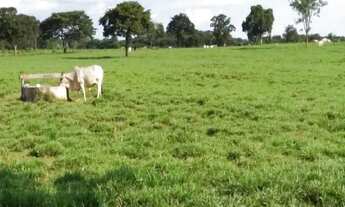 Imagem: Fazenda com 3 dormitórios à venda, 3700000