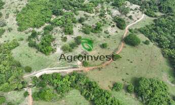 Imagem 6: Fazendas no Município de Uruaçu Goiás