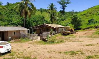 Imagem: Fazenda em Goiás velho divisa com Faina