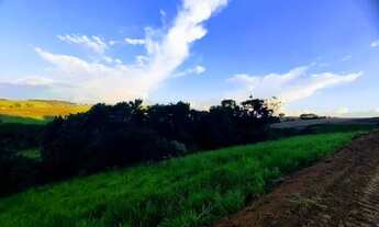 Imagem: Lote/Terreno para venda possui 500 metros