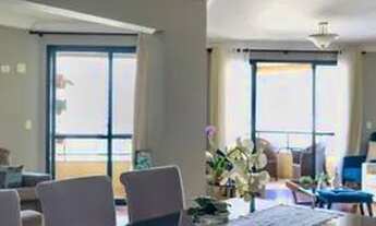 Imagem 7: Locação no Bosque Wilmar Berbet na Gleba