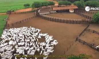 Imagem 3: Fazenda de 80.090 hectares Paranatinga - MT