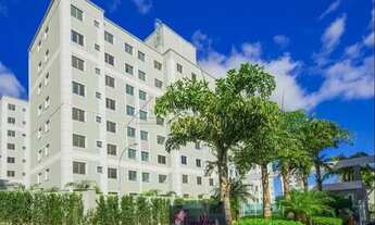 Imagem 2: LONDRINA - Apartamento Padrão - Gleba Fazenda Palhano