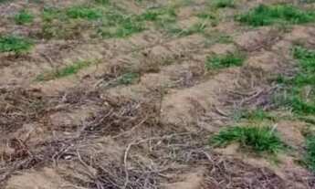 Imagem 12: 03a-1E2MDU0 Terreno / lote com venda por R$90.000