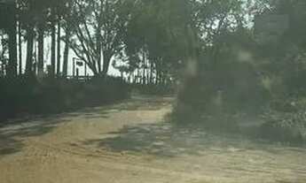 Imagem 5: Sítio em Cassias dos Coqueiros-SP