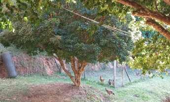 Imagem 7: Vendo sítio 1,6 alqueires na represa