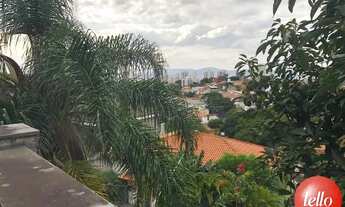 Imagem 3: São Paulo - Casa Padrão - Lapa