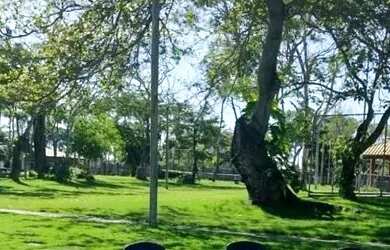 Imagem 3: Terreno / lote com venda por R$7.702