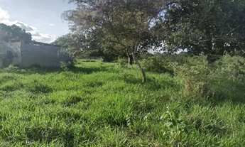 Imagem 7: Sitio em inhambupe 7 tarefa escriturado!