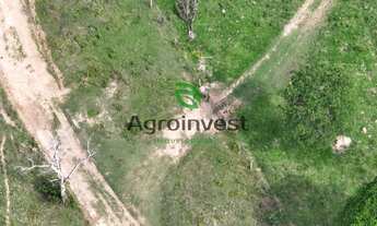 Imagem 7: Fazendas no Município de Uruaçu Goiás