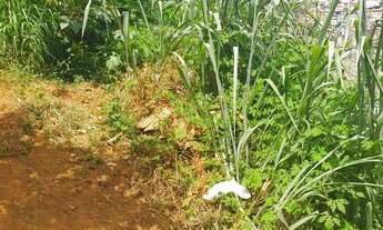 Imagem 2: Vende-se terreno