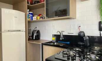 Imagem 4: Oportunidade de 1/4 no Canela