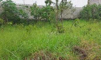 Imagem 4: Terreno à venda, 438 m² por R$ 290.000 - Vila Olimpia - Taubaté/SP