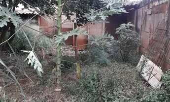 Imagem 6: 12380 - Casa no bairro Jardim Patrícia