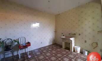 Imagem 4: São Paulo - Casa Padrão - Tucuruvi