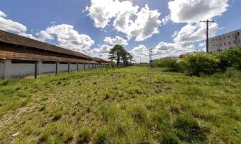 Imagem 2: Terreno para aluguel Pelotas