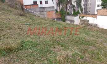Imagem 4: Terreno em Vila Pereira Barreto