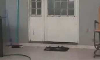 Imagem 2: Bairro Cintra 3 Quartos sendo uma suite...229.998.00