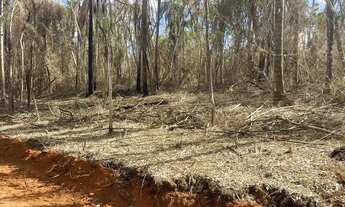Imagem 3: Imóvel para venda tem 600 metros quadrados em Terra Preta (Terra Preta) - Mairiporã - SP