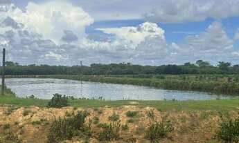 Imagem: Excelente Fazenda de 416 Hectares em Flores