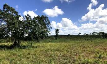 Imagem 6: Fazenda 80 tarefas Vila Margarida / Itanagra