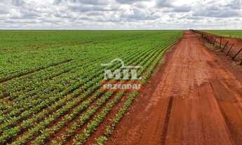 Imagem: Fazenda 75 alqueires (363 hectares) Acreuna