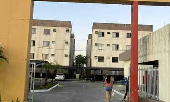 Imagem: BELAS ARTES - M.CC - TÉRREO 12436