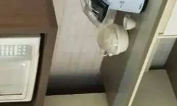 Imagem 6: PRÉDIO - VILA MARIANA - SP