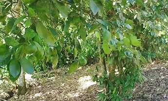 Imagem 7: Oportunidade Rara no Sana Terreno com 4.500 m² em Localização Privilegiada