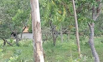 Imagem 4: Chácara 3 alqueires em Vianópolis