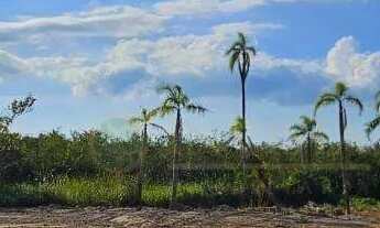 Imagem 3: À venda Terreno / lote com venda por R$1.550.000