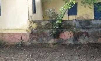 Imagem: Sítio à venda, ZONA RURAL - Ponte Nova/MG