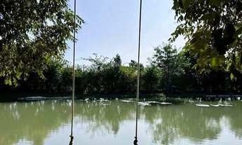 Imagem 2: Terreno à venda, 325 m² por R$ 790.000,00 - Alto Alegre - Cascavel/PR