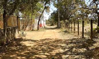 Imagem: Lote! Capoeira do bálsamo! Água de coco!