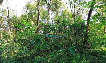 Imagem 4: Chácara à venda, 24200 m² por R$ 350.000,00 - São João Doeste - Cascavel/PR