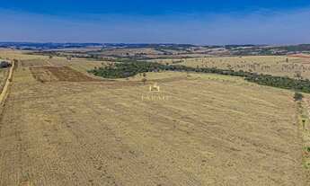 Imagem: FAZENDA PRODUTIVA DUPLA APTIDÃO AGRICULTURA
