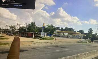 Imagem 5: Vendo mini Sítio !