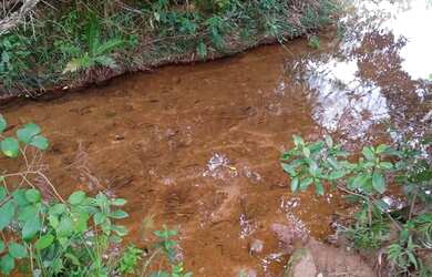 Imagem: Fazendinha 20.000m2 em Piedade Gerais