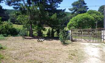 Imagem 4: Vendo chácara em Bocaiúva do Sul, 10.000 metros escriturada. Fica a 2 km da cidade