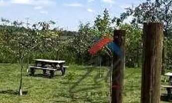 Imagem 5: Apartamento com 2 dormitórios para alugar, 53 m² por R$ 2.700,00/mês - Residencial Alexand