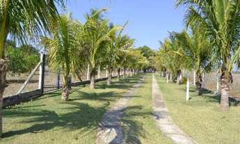 Imagem: Sorocaba Região 10 hectares (Lindo Sítio