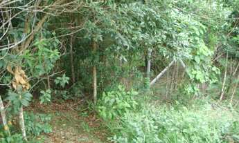 Imagem 7: Terreno Bairro São Luiz - São José