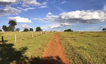 Imagem: Fazenda de 91 alqueires em Guapo-Go