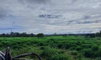 Imagem 3: Venda de fazenda em porto acre
