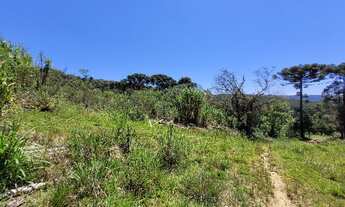Imagem 6: Terreno em perímetro urbano - São Bento do Sul SC - 40.000 m²