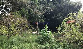 Imagem 3: Terreno plano a venda Campo Grande