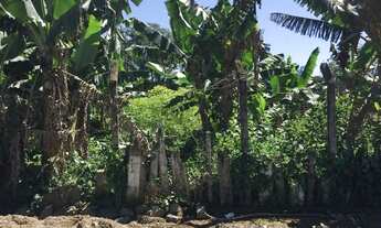 Imagem: Amplo terreno a venda no Rio Da Luz