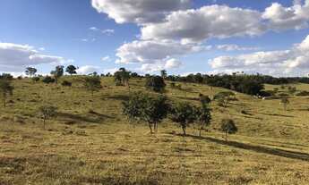 Imagem 4: Fazenda de 91 alqueires em Guapo-Go